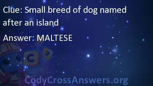 Small Breed Of Dog Named After An Island Codycross